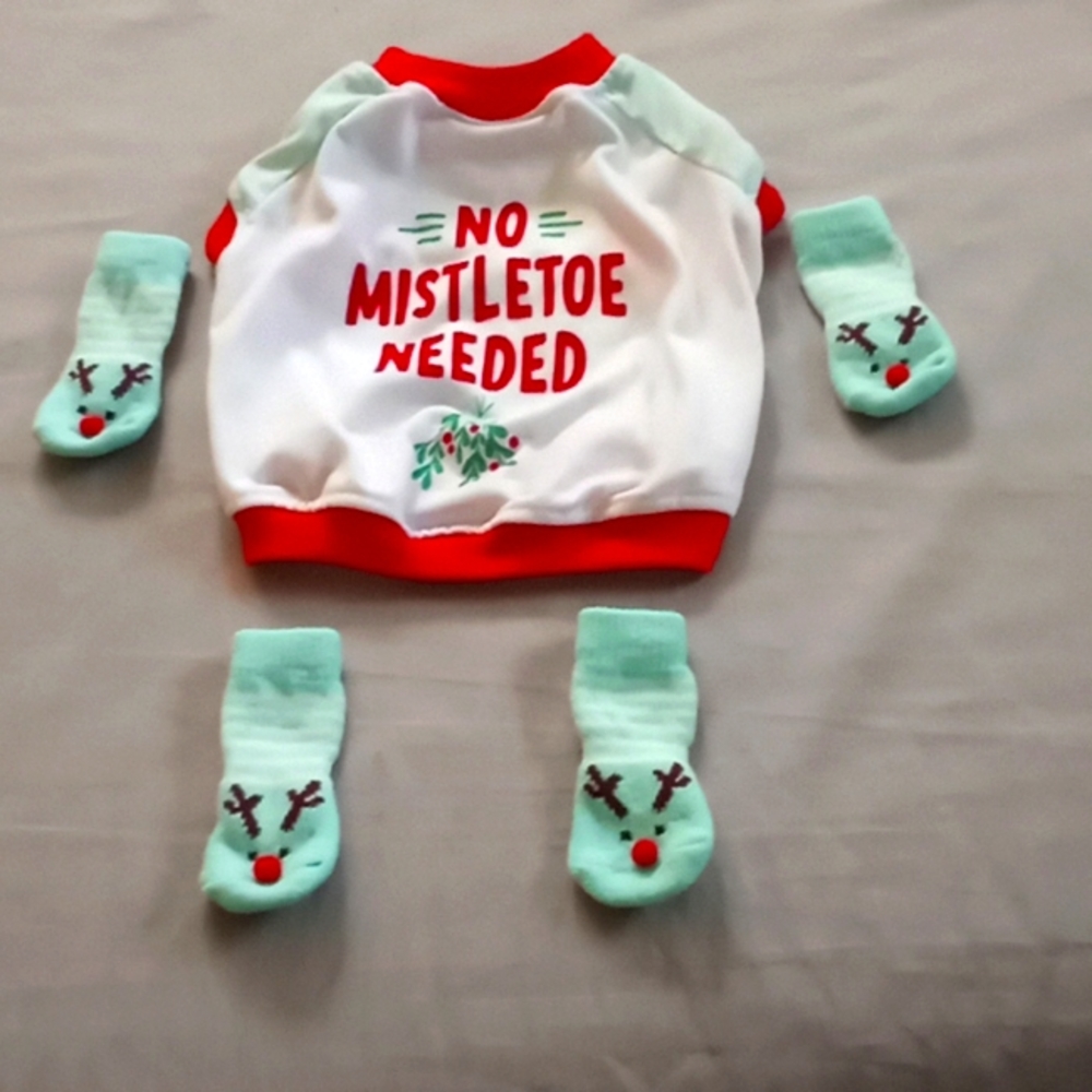 Christmas 🎄 puppy's outfit